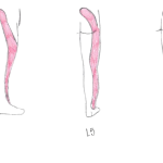 Andy Leg 1.width 750 removebg preview