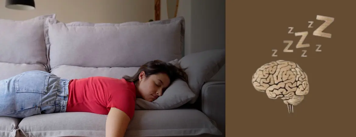Understanding Narcolepsy: Symptoms, Causes, and Treatment Options